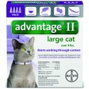 Advantage II  over 9 cat purple  4 packs