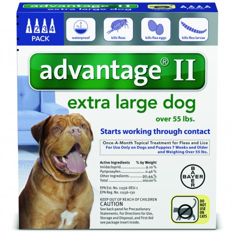 Advantage_4pk_XLargeDog_Front