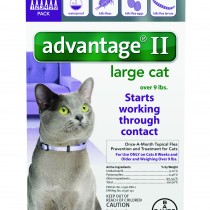 Advantage_6pk_LargeCat_Front